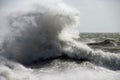 Freak Wave Royalty Free Stock Photo