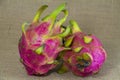 Freash Dragon Fruit