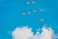 Frecce Tricolori Tricolour Arrows at Pisa Airshow, Italian National Acrobatic Royalty Free Stock Photo