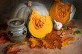 Frech cut pumpkin vegetable soup ingredients autumn leaves Royalty Free Stock Photo