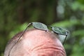 Freckled forehead with perched glasses Royalty Free Stock Photo