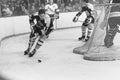 Fred Stanfield, Boston Bruins. Royalty Free Stock Photo
