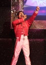 Freddie Mercury Royalty Free Stock Photo
