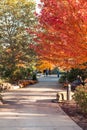 Frederik Meijer Gardens - Grand Rapids, MI, USA - October 20th 2019: Autumn path through the statue garden