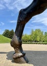 DaVinciâs 24 foot horse sculpture hind leg close up