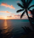 Free AI generated photo seascape palm tree and sea at sunset