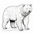 Realistic Bear Coloring Pages: Dark White And Amber Illustrations