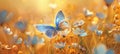 free blue butterfly wallpaper Royalty Free Stock Photo