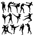 Free Boxing Sport activity