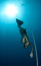 Free diver Royalty Free Stock Photo