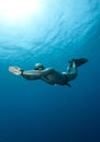 Free diver Royalty Free Stock Photo