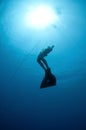 Free diver Royalty Free Stock Photo