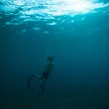 Free diver coming to surface Royalty Free Stock Photo