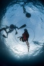 Free diver descending to the depht