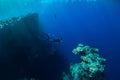 Free diver dive in deep ocean, underwater view with rocks and corals. Freediving