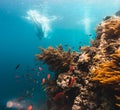 Free diver exploring vivid coral reef in tropical sea