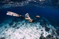 Freediver with fins glides underwater with turtle in ocean. Snorkeling with sea turtle Royalty Free Stock Photo