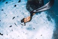 Free diver girl with fins glides over sandy bottom with tropical fishes in blue sea