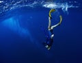 Free diver Royalty Free Stock Photo