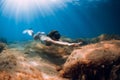 Free diver woman with mask and fins glides at deep sea and sun rays. Freediving underwater in ocean Royalty Free Stock Photo