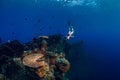 Free diver woman swimming with fins at wreck ship. Freediving in ocean over corals Royalty Free Stock Photo