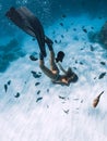 Freediver young woman with fins glides over sandy bottom with tropical fishes in transparent ocean Royalty Free Stock Photo