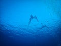 Free divers diving in Blue Hole, Red Sea, Egypt, Dahab.