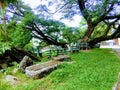 A free environment with green trees and benches