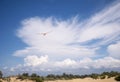 Free flight of a seagull in a blue sky with beautiful clouds. A bird in flight Royalty Free Stock Photo