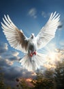 Free flying white dove. A white dove with wings flying in the sky Royalty Free Stock Photo