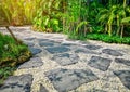 Free form pattern of black stone walkway and white gravel in garden of park, greenery fern epiphyte topical plant