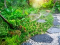 Free form pattern of black stone walkway and white gravel in a tropical backyard garden, greenery fern epiphyte plant