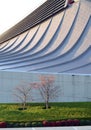 Free Form Roof of Yoyogi National Gymnasium, Tokyo, Japan Royalty Free Stock Photo