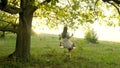 Free girl swinging on a swing on an oak branch in sun. Dreams of flying. Happy childhood concept. Beautiful girl in a