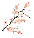 Free hand Sakura flower vector set, Beautiful line art Peach blossom isolate on white background Royalty Free Stock Photo