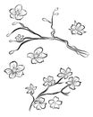 Free hand Sakura flower vector set, Beautiful line art Peach blossom isolate on white background Royalty Free Stock Photo