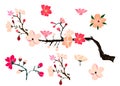 Free hand Sakura flower vector set, Beautiful line art Peach blossom isolate on white background Royalty Free Stock Photo