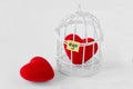 Free heart and heart in a bird cage with the word Ego written on Royalty Free Stock Photo