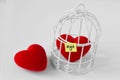 Free heart and heart in a bird cage with the word Ego written on