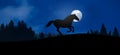 Free horse galloping under the full moon Royalty Free Stock Photo