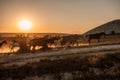 Free horses run, left to nature on the slope of the mountains and sunset. Horses of different colors running up the Royalty Free Stock Photo