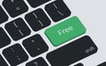 Free now button on keyboard keys vector. Simple style Royalty Free Stock Photo