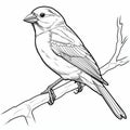 Free Printable Bird Coloring Pages For Children