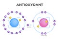 Free radical and Antioxidant . Antioxidant donates electron to Free radical . infographic Royalty Free Stock Photo