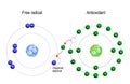 Free radical and Antioxidant Royalty Free Stock Photo