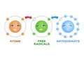 Free radical and Antioxidant vector . Antioxidant donates electron to Free radical . infographic cartoon