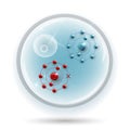 Free radical and normal molecule