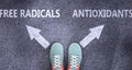 Free radicals and antioxidants as different choices in life - pictured as words Free radicals, antioxidants on a road to symbolize Royalty Free Stock Photo