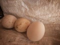 This is a free-range chicken egg in solong taken on November 27, 2022 in Indonesia. Royalty Free Stock Photo