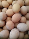 Free range chicken eggs. Fresh ready to consume
